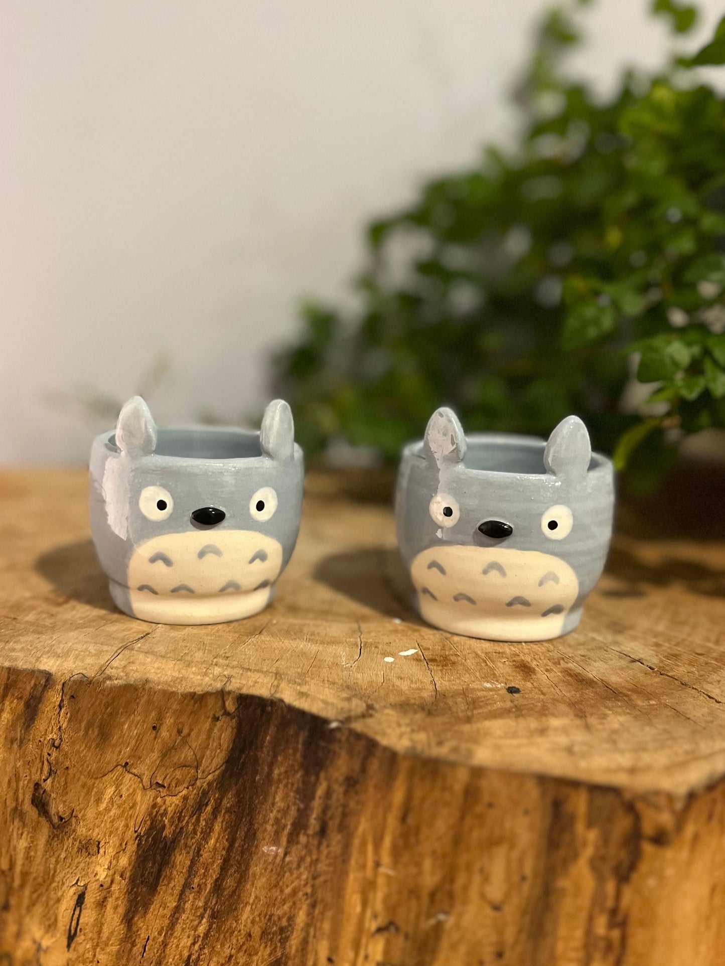 Totoro Inspired Sake Cups