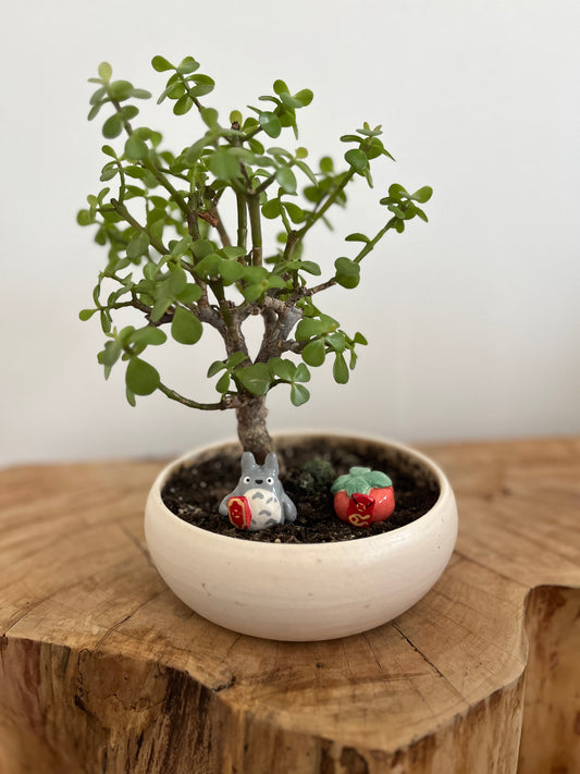 Lunar New Year Totoro Plant Buddy